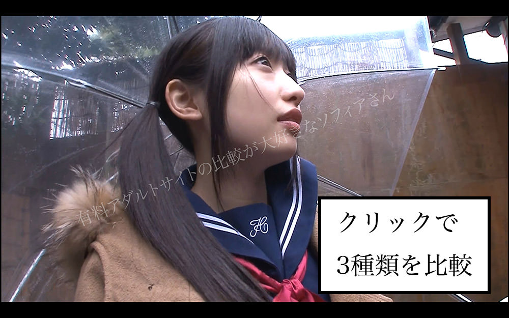 援助交際めちゃはめムービーの動画の画質