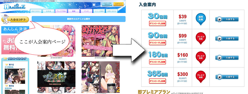 HanimeZの入会の流れを図解します。