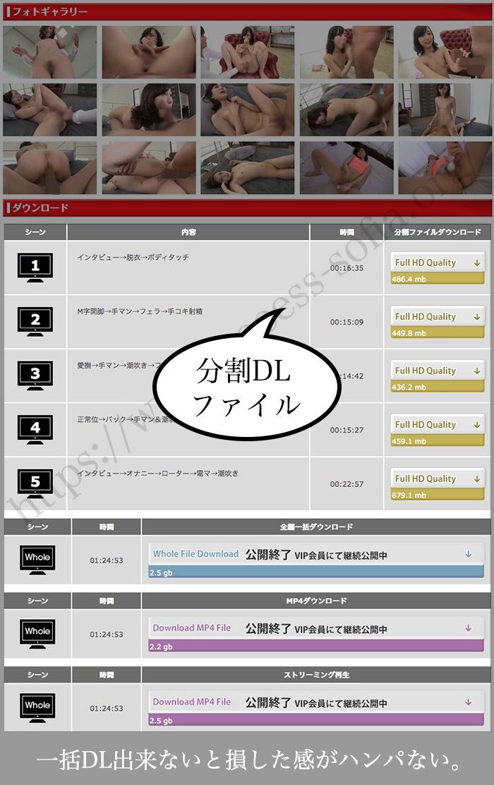 ヤパンスカでは一般会員では分割DLの手間が掛かって損する