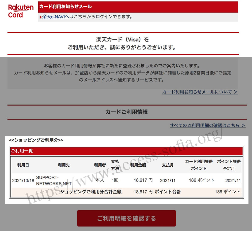 ヤパンスカの安全性を楽天VISAカードで検証