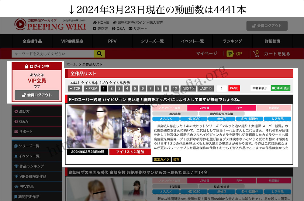 VIP会員でPEEPING WIKIにログインした時の動画数