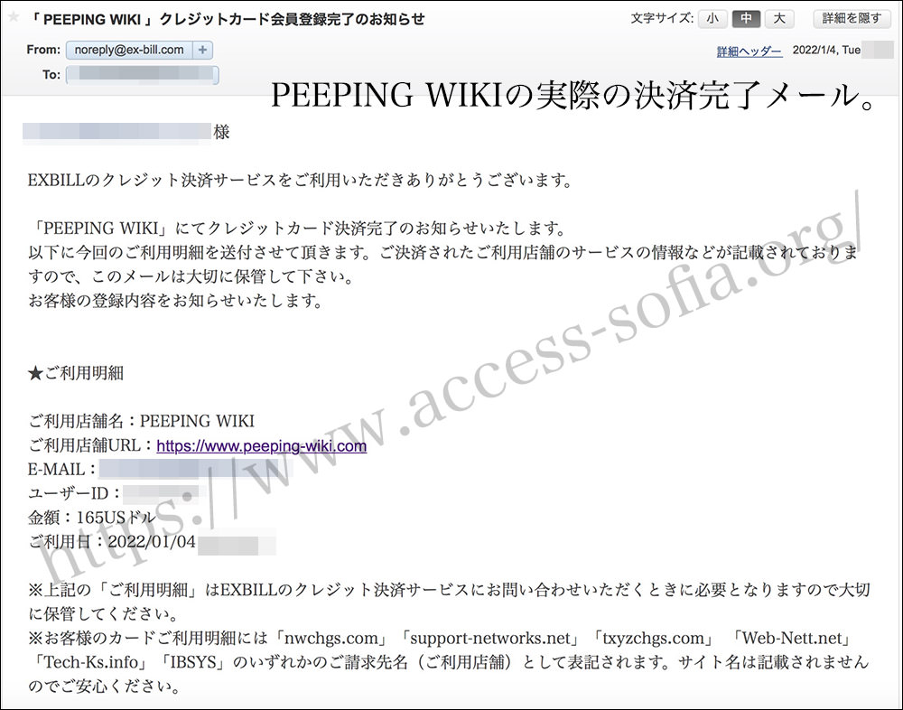 PEEPING WIKIの決済完了メール