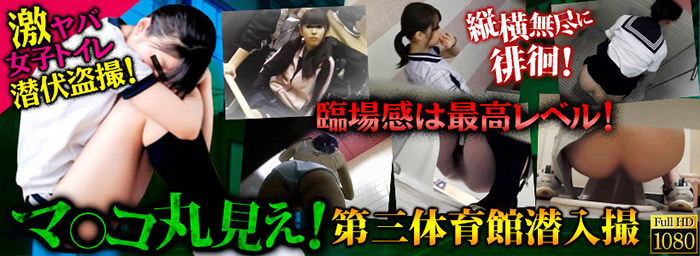 PEEPING WIKIは女子トイレの盗撮動画も充実している。