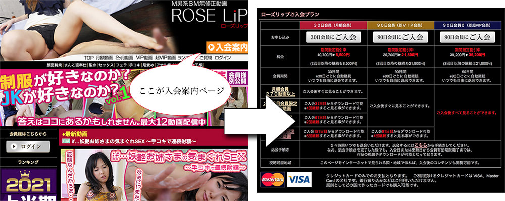 ローズリップの入会の流れを図解します。
